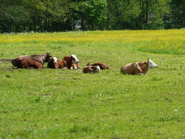 TAV0905_00020.jpg