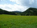 TAV0905_00015