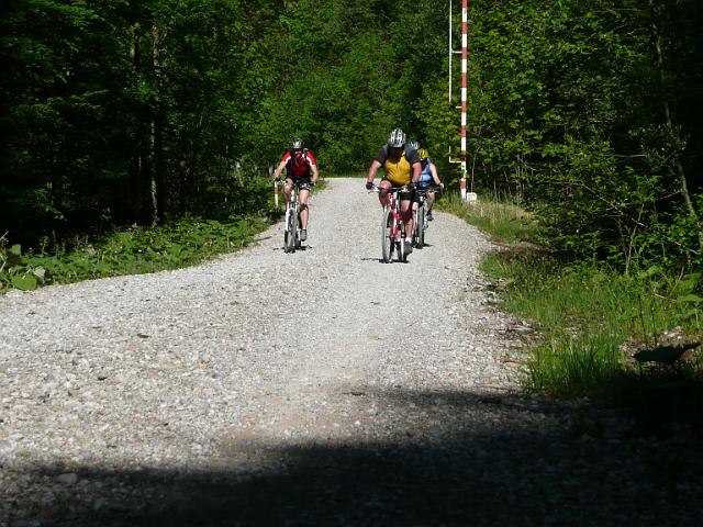 TAV0905_00031.jpg