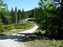 TAV0905_00037