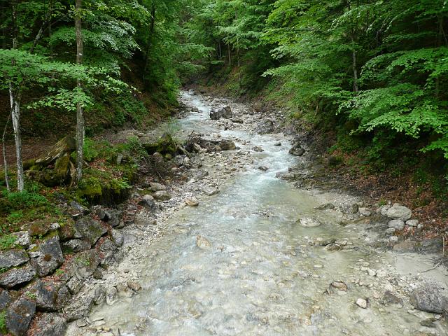 TAV0905_00074.jpg