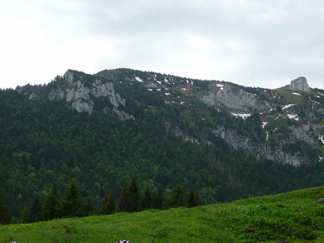 TAV0905_00081.jpg