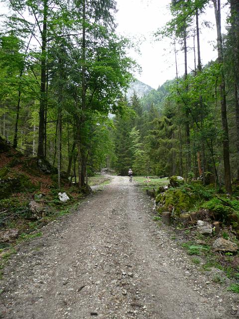 TAV0905_00084.jpg