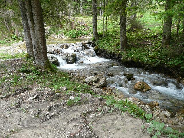 TAV0905_00085.jpg