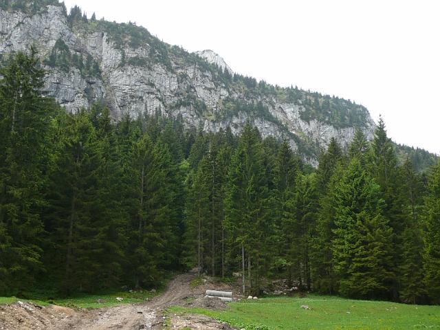TAV0905_00086.jpg