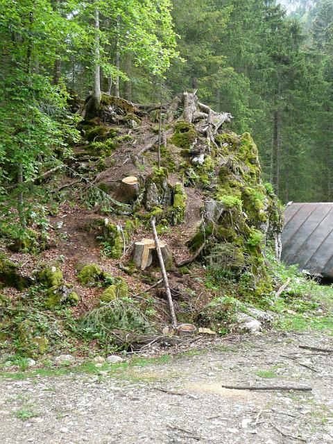 TAV0905_00088.jpg