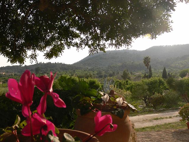 M0904_00003.jpg - Finca Alaro