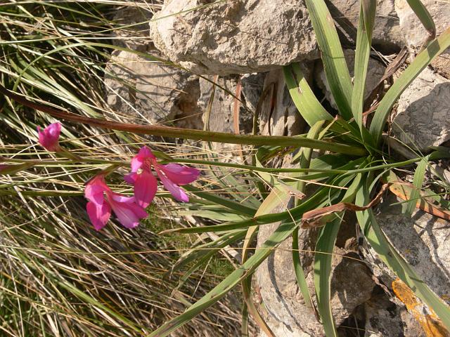 M0904_00148.jpg