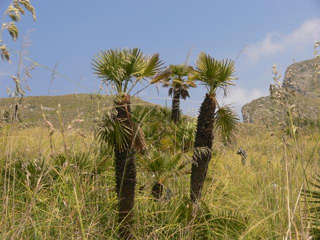 M0904_00156.jpg