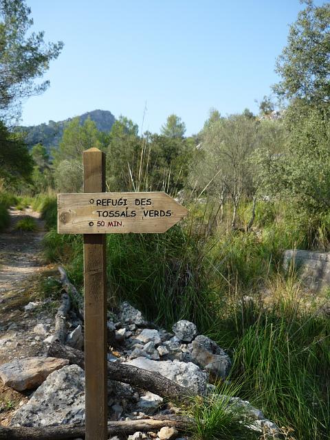 201209Malle_00064.jpg
