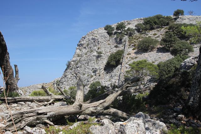 201209Malle_00229.jpg
