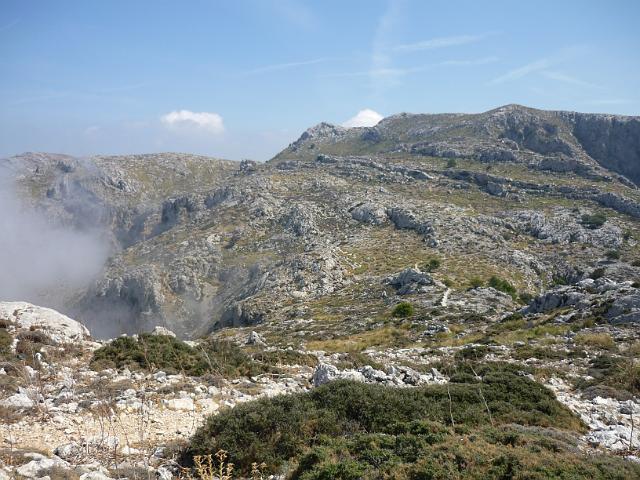 201209Malle_00243.jpg