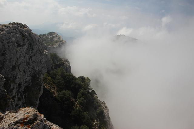 201209Malle_00247.jpg