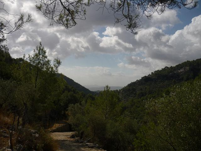 201209Malle_00463.jpg
