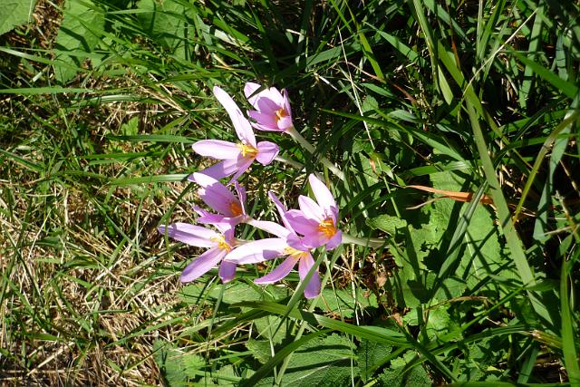 201210Slowenien_00196.jpg